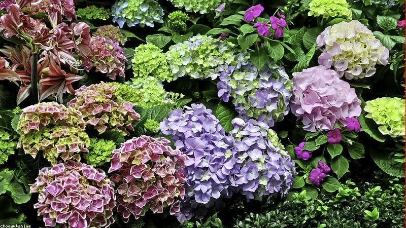 Itinerary Singapura 3 Hari 2 Malam: Panduan Lengkap Untuk Pemula